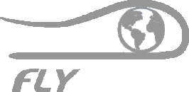 Flysight logo