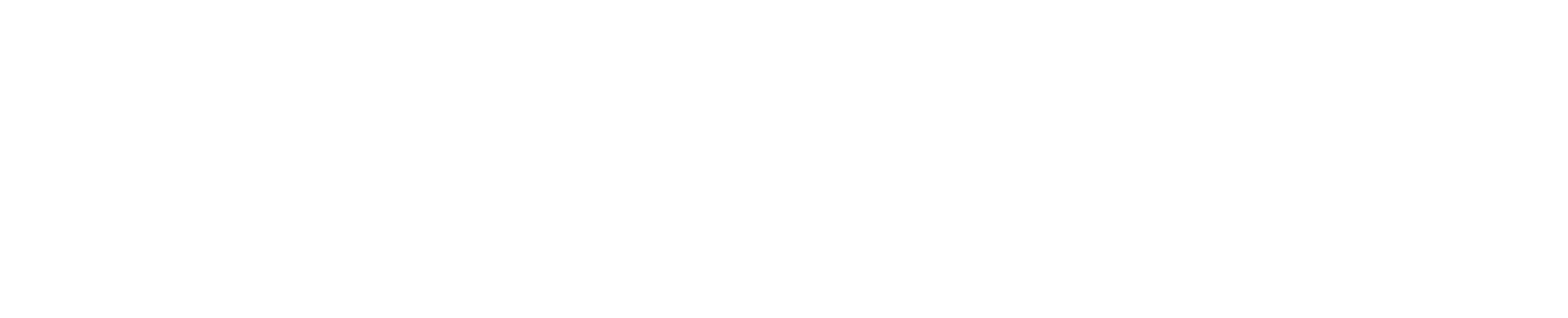 Nammo logo