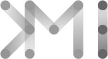 DMI logo